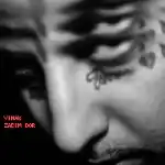 دانلود آهنگ زدیم دور از ویناک